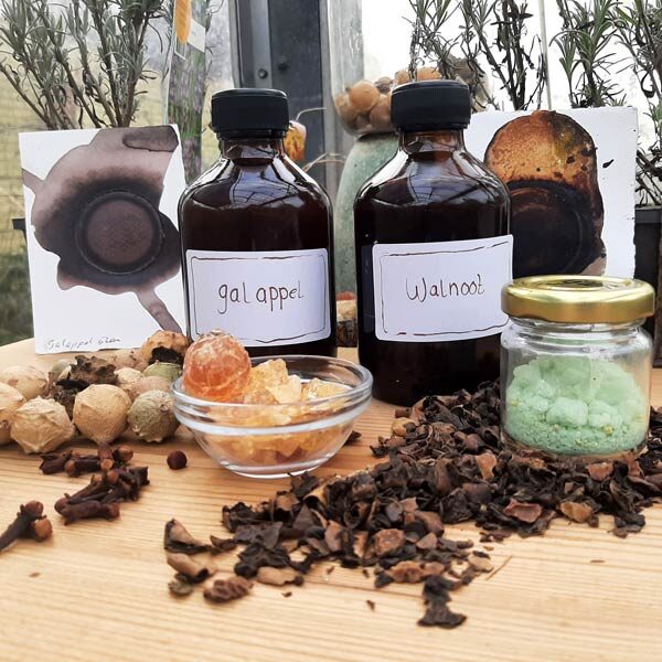 DIY pakket Walnoot en Galappel inkt